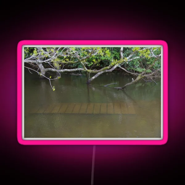 Walkway Under Flood Water RGB Neon Sign