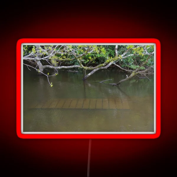 Walkway Under Flood Water RGB Neon Sign