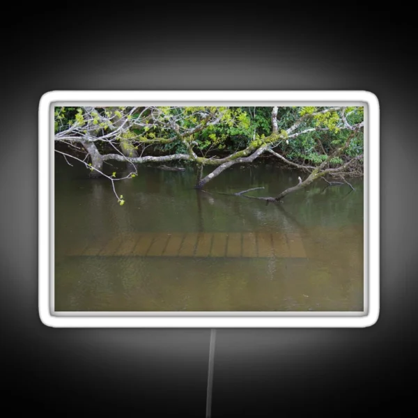 Walkway Under Flood Water RGB Neon Sign