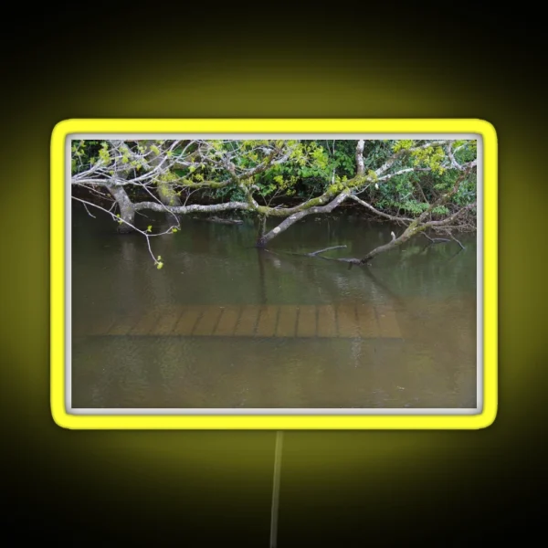 Walkway Under Flood Water RGB Neon Sign
