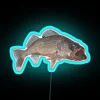Neon sign featuring a walleye fish with bright blue and pink colors.