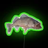 Neon sign with walleye fish logo in green.