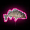 Neon sign with pink letters reading 'Walleye'