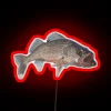 Walleye neon sign in vibrant red color