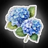 Vibrant hydrangea flowers in pastel shades with neon sign background, watercolor style illustration.