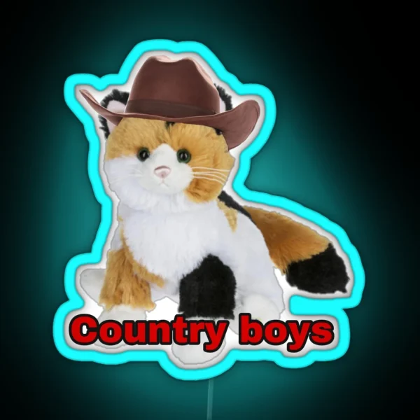 Webkinz Cat Country Boys I Love You Meme RGB Neon Sign