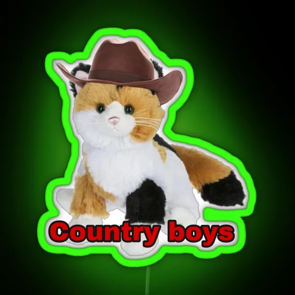 Webkinz Cat Country Boys I Love You Meme RGB Neon Sign