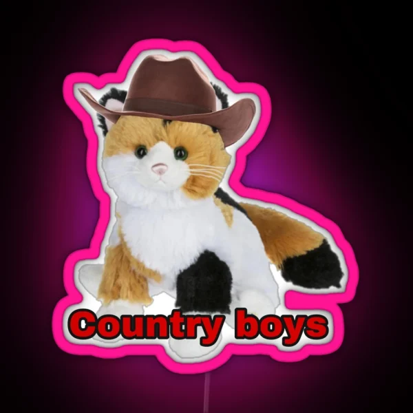 Webkinz Cat Country Boys I Love You Meme RGB Neon Sign