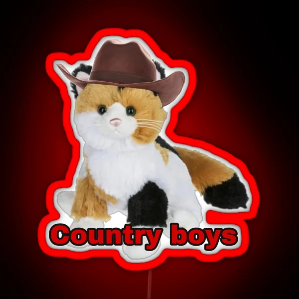Webkinz Cat Country Boys I Love You Meme RGB Neon Sign