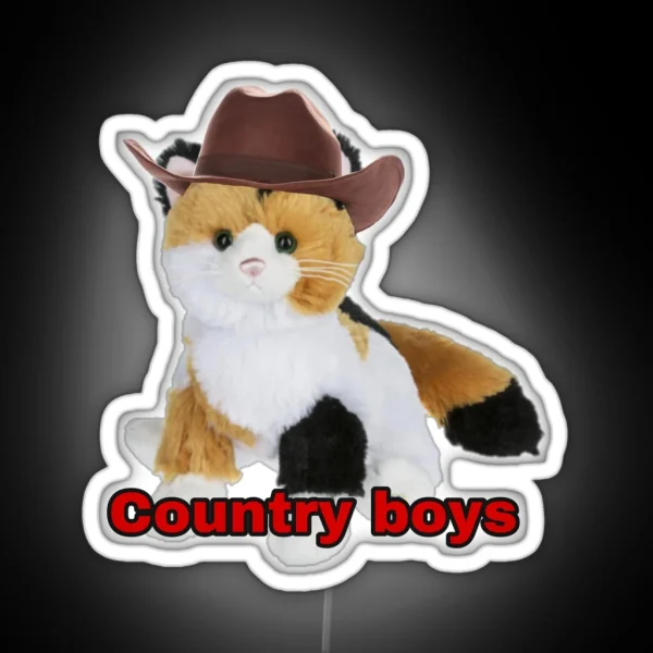 Webkinz Cat Country Boys I Love You Meme RGB Neon Sign