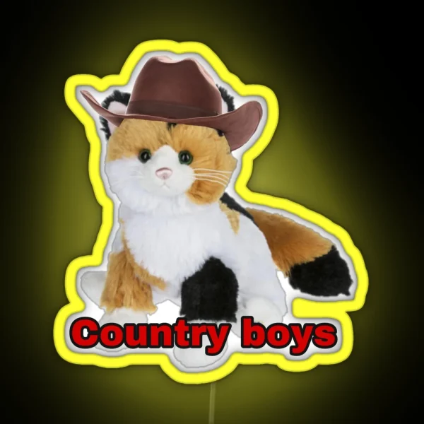 Webkinz Cat Country Boys I Love You Meme RGB Neon Sign