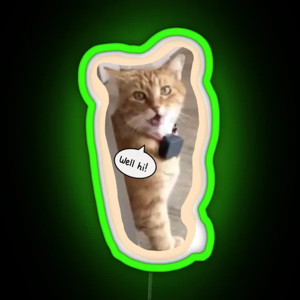 Well Hi Southern Cat From Tiktok RGB Neon Sign