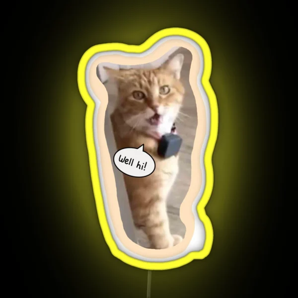 Well Hi Southern Cat From Tiktok RGB Neon Sign