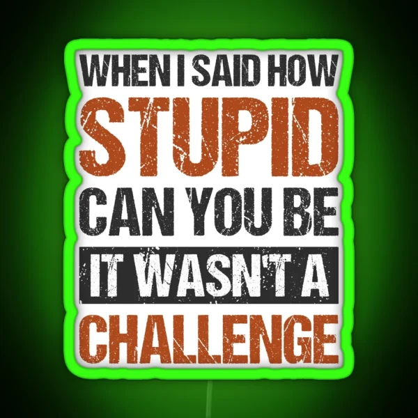 When I Said How Stupid Can You Be It Wasnt A Challenge RGB Neon Sign