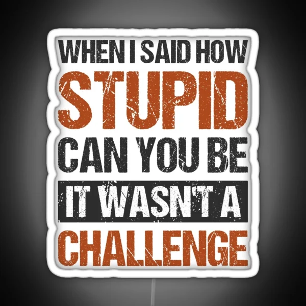 When I Said How Stupid Can You Be It Wasnt A Challenge RGB Neon Sign