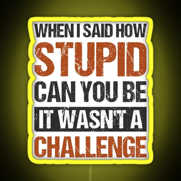 When I Said How Stupid Can You Be It Wasnt A Challenge RGB Neon Sign