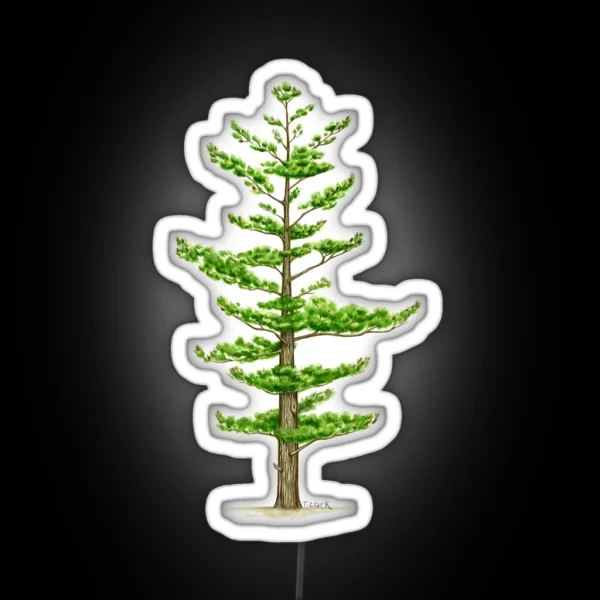 White Pine Pinus Strobus RGB Neon Sign