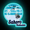 Ski resort in Hokkaido, Japan with vintage neon sign at night