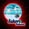 Vintage neon sign in front of snowy mountains in Hokkaido, Japan at night.