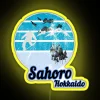 Skiing in Hokkaido, Japan's Sahoro resort under neon lights