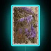 Neon wisteria bloom in watercolor style with vibrant blue hues.
