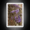 Wisteria in neon color scheme with watercolor style
