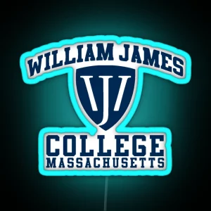 Wj College Massachusetts RGB Neon Sign