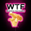 Neon sign with colorful fungi design in pink hue