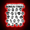 Bonsai tree enthusiast with numerous trees in various stages of growth displayed prominently.