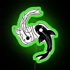 Yin Yang Koi Fish from The Last Airbender Neon Sign Image with Green Background