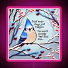 Blue Jay perched on a street sign with encouraging message in neon lights.