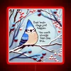 Perky blue jay perched on a vibrant neon sign with encouraging words