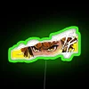Zenitsu Agatsuma from Demon Slayer with RGB neon sign in green.