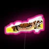Zenitsu Agatsuma from Demon Slayer in neon pink sign