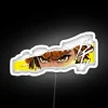 Neon Zenitsu Agatsuma from Demon Slayer in a vibrant, RGB-colored sign with a white background.