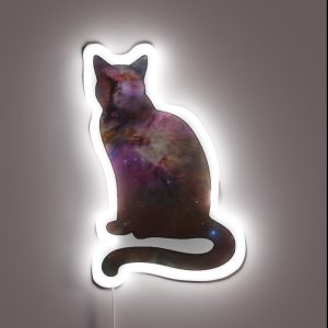 Space Cat RGB Neon Sign