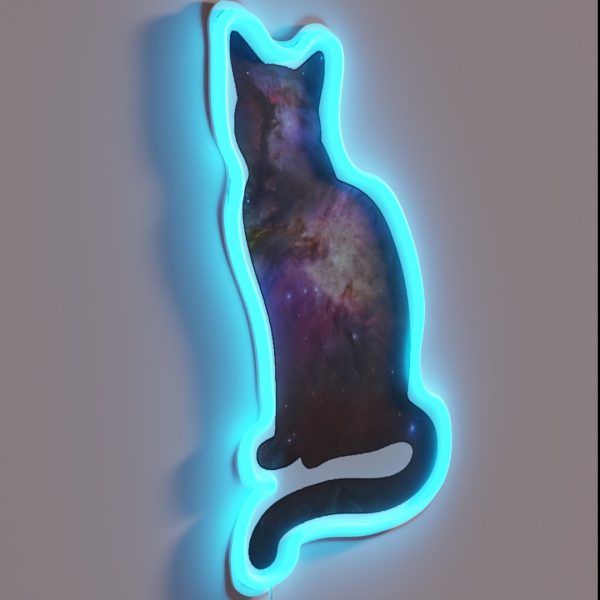 Space Cat RGB Neon Sign