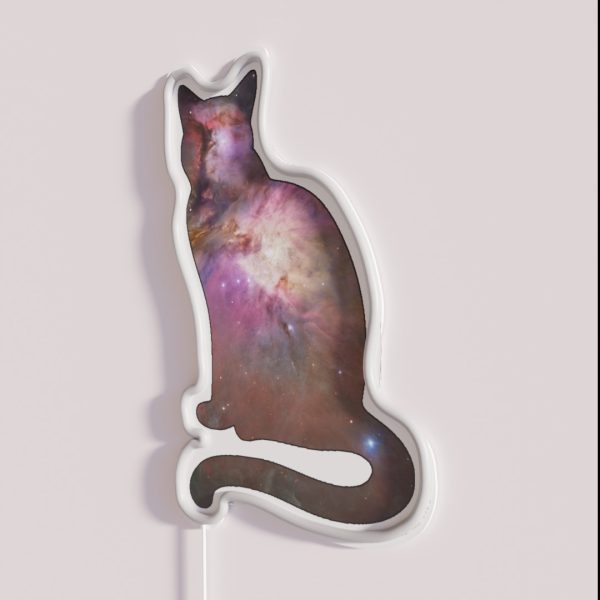 Space Cat RGB Neon Sign