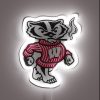 Customizable RGB Neon Sign: Stoned Bucky Badger Official UW Campus Decor