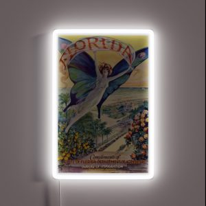 1920 S Florida RGB Neon Sign