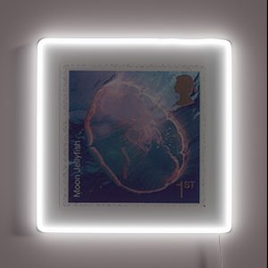 2007 Great Britain Moon Jellyfish Stamp RGB Neon Sign