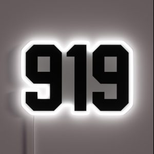 919 RGB Neon Sign