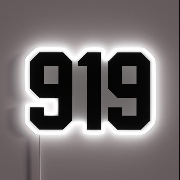 919 RGB Neon Sign