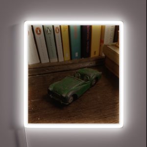 A Much Loved Toy Triumph TR2 Sports Car RGB Neon Sign