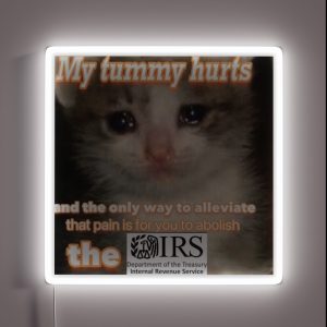 Abolish The IRS RGB Neon Sign Abolish The IRS RGB Neon Sign