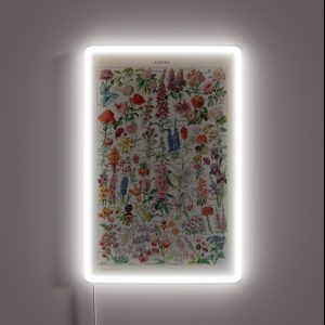 Adolphe Millot Fleurs Pour Tous French Vintage Poster RGB Neon Sign