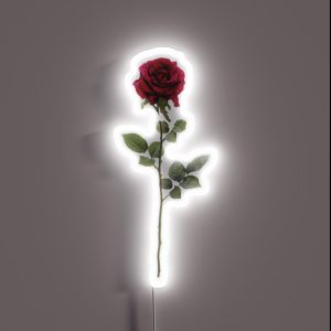 Aesthetic Rose RGB Neon Sign Aesthetic Rose RGB Neon Sign