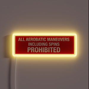 ALL AEROBATIC MANEUVERS PROHIBITED RGB Neon Sign