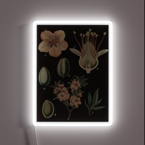 Almond Flower Botanical RGB Neon Sign