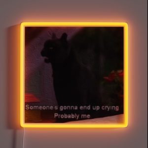 Already Crying RGB Neon Sign